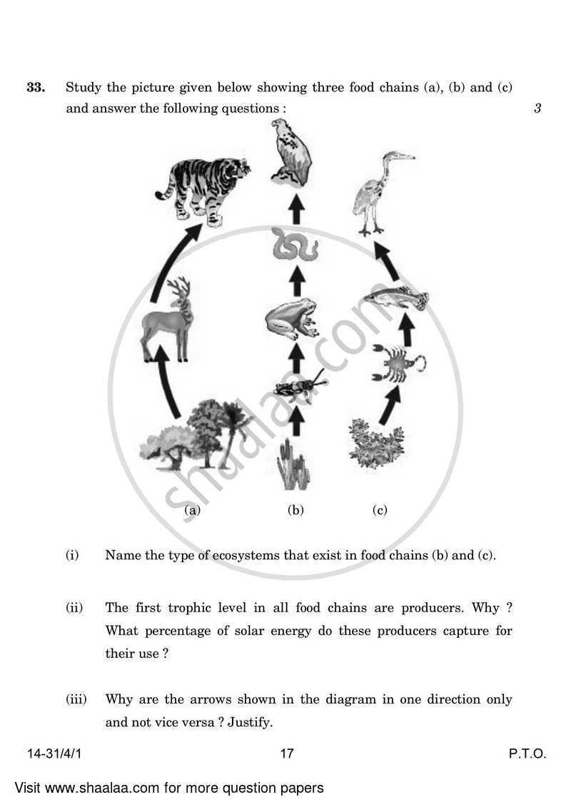 Science 2023-2024 Class 10 - CBSE (Central Board of Secondary Education) question paper with PDF download