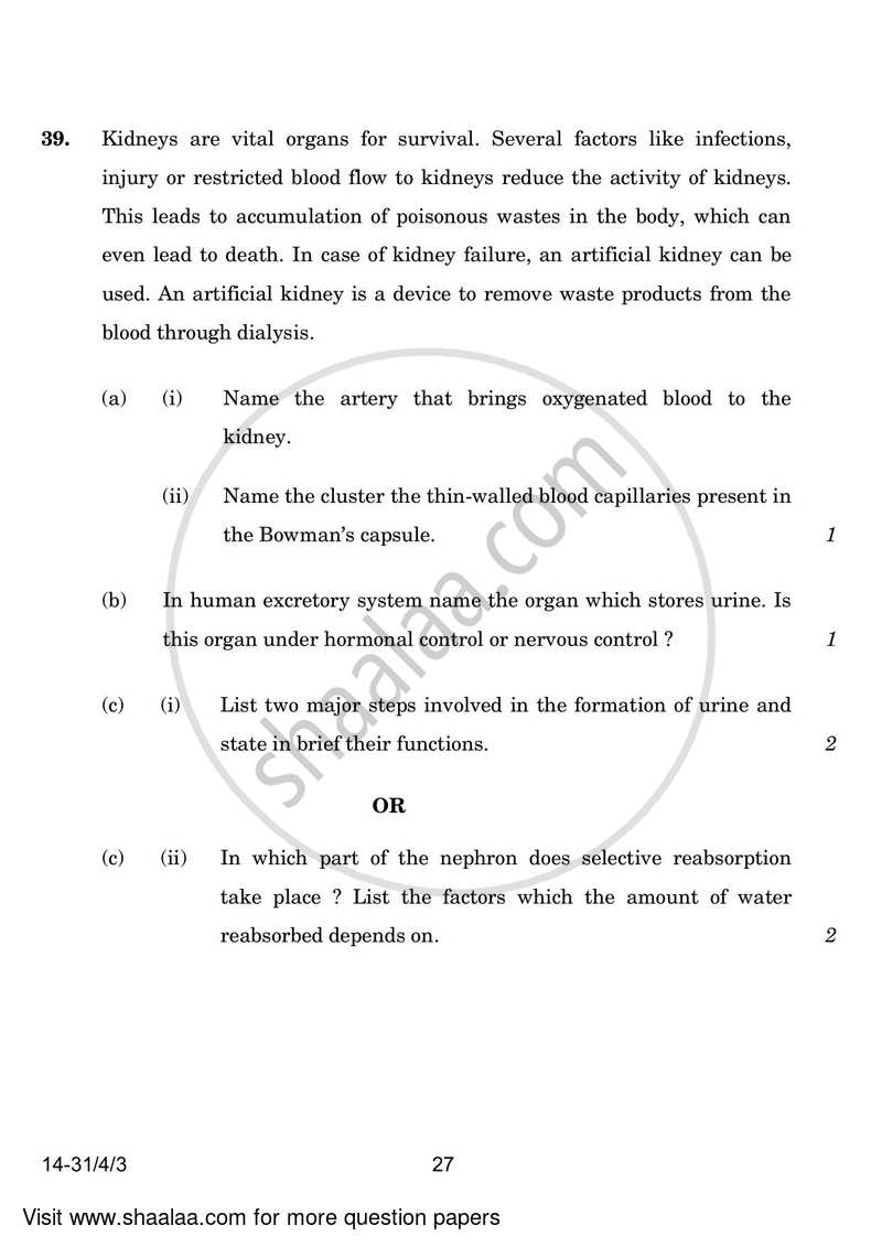Science 2023-2024 Class 10 - CBSE (Central Board of Secondary Education) question paper with PDF download