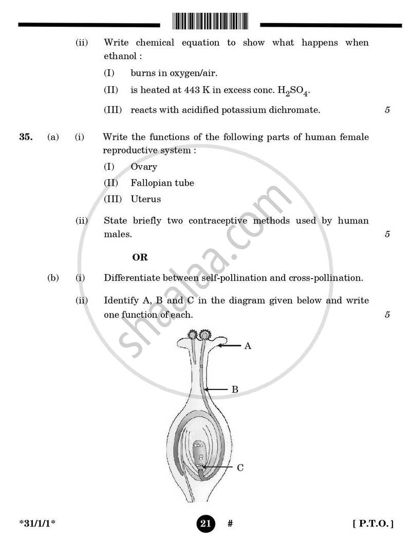 Science 2024-2025 Class 10 - CBSE (Central Board of Secondary Education) question paper with PDF download