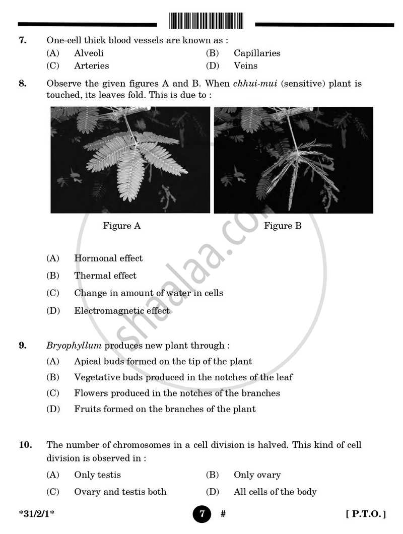 Science 2024-2025 Class 10 - CBSE (Central Board of Secondary Education) question paper with PDF download