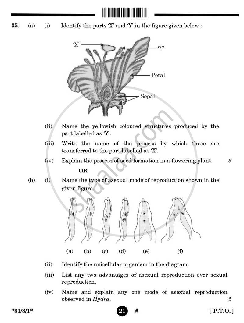 Science 2024-2025 Class 10 - CBSE (Central Board of Secondary Education) question paper with PDF download