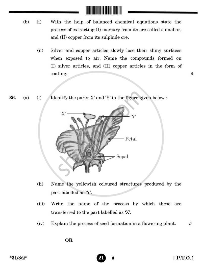 Science 2024-2025 Class 10 - CBSE (Central Board of Secondary Education) question paper with PDF download