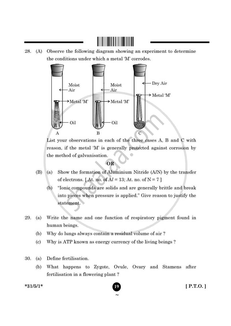 Science 2024-2025 Class 10 - CBSE (Central Board of Secondary Education) question paper with PDF download