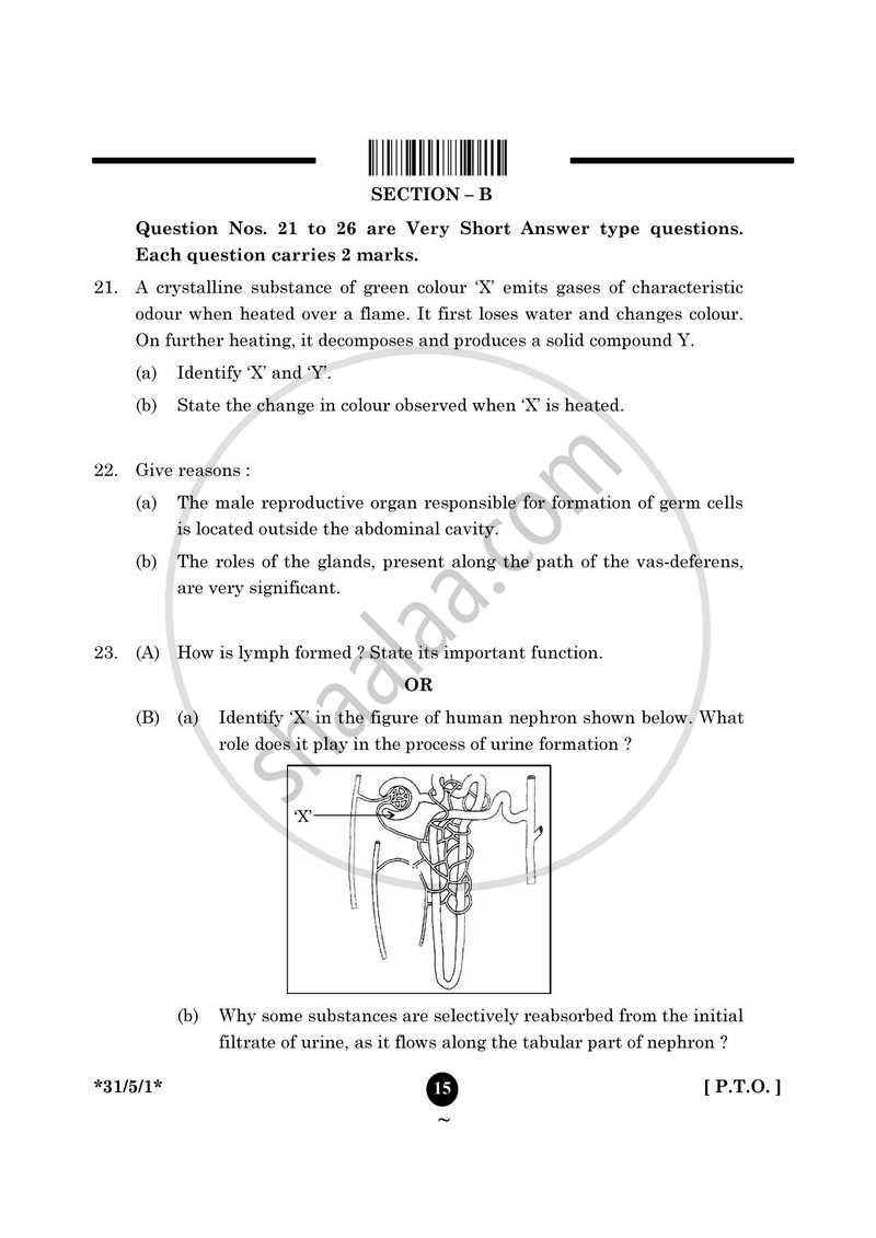 Science 2024-2025 Class 10 - CBSE (Central Board of Secondary Education) question paper with PDF download