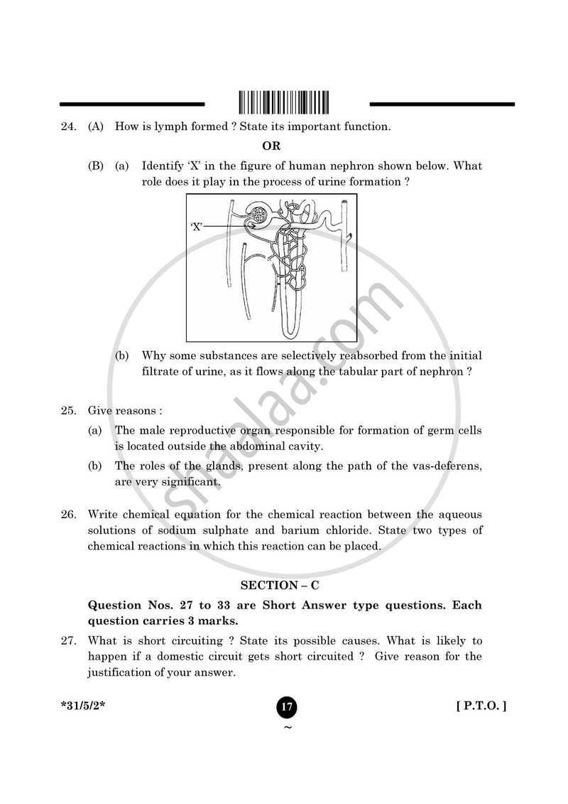 Science 2024-2025 Class 10 - CBSE (Central Board of Secondary Education) question paper with PDF download