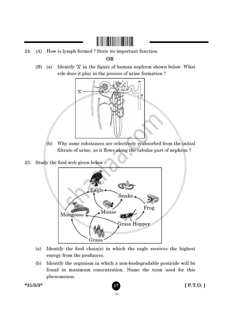 Science 2024-2025 Class 10 - CBSE (Central Board of Secondary Education) question paper with PDF download