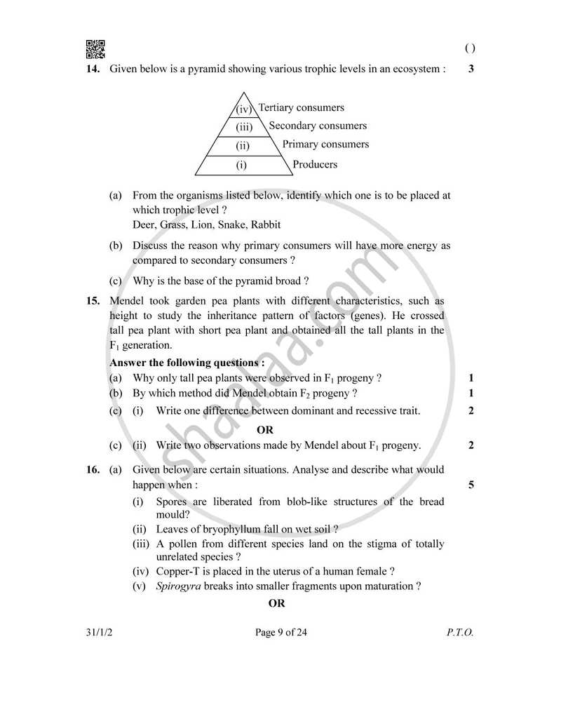 Science 2025-2026 Class 10 - CBSE (Central Board of Secondary Education) question paper with PDF download