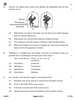 Science 2025-2026 Class 10 - CBSE (Central Board of Secondary Education) question paper with PDF download