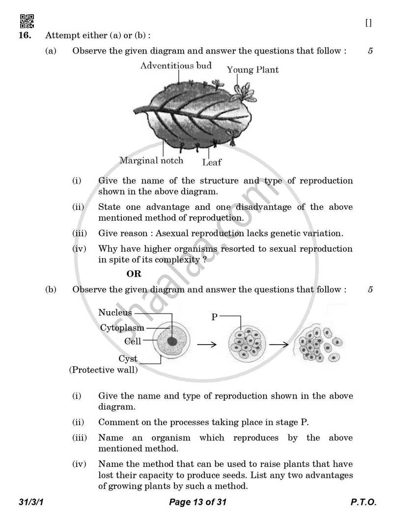Science 2025-2026 Class 10 - CBSE (Central Board of Secondary Education) question paper with PDF download
