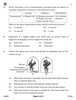 Science 2025-2026 Class 10 - CBSE (Central Board of Secondary Education) question paper with PDF download