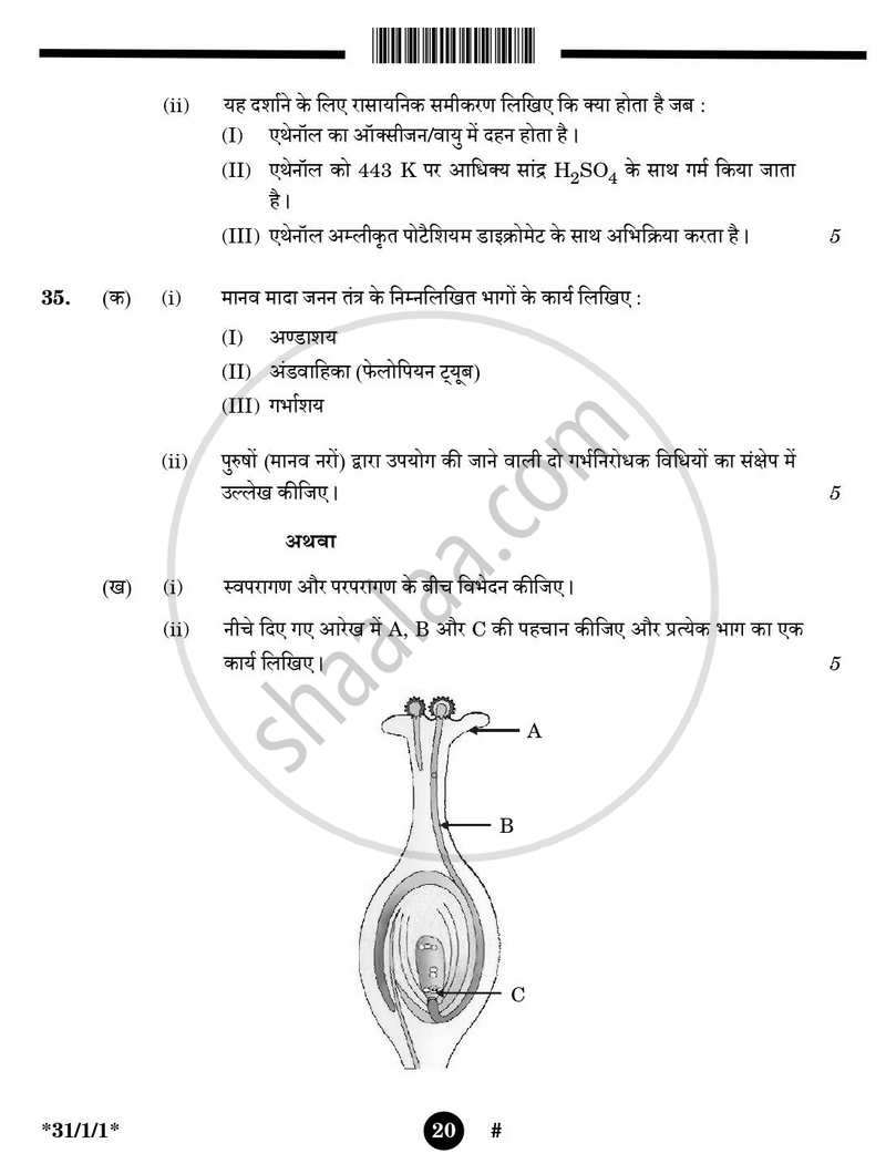 Science (विज्ञान) 2024-2025 Class 10 [कक्षा १०] - CBSE (Central Board of Secondary Education) question paper with PDF download
