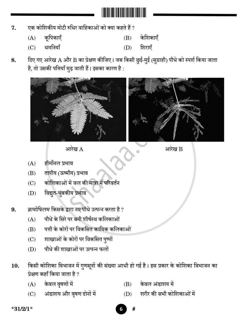 Science (विज्ञान) 2024-2025 Class 10 [कक्षा १०] - CBSE (Central Board of Secondary Education) question paper with PDF download