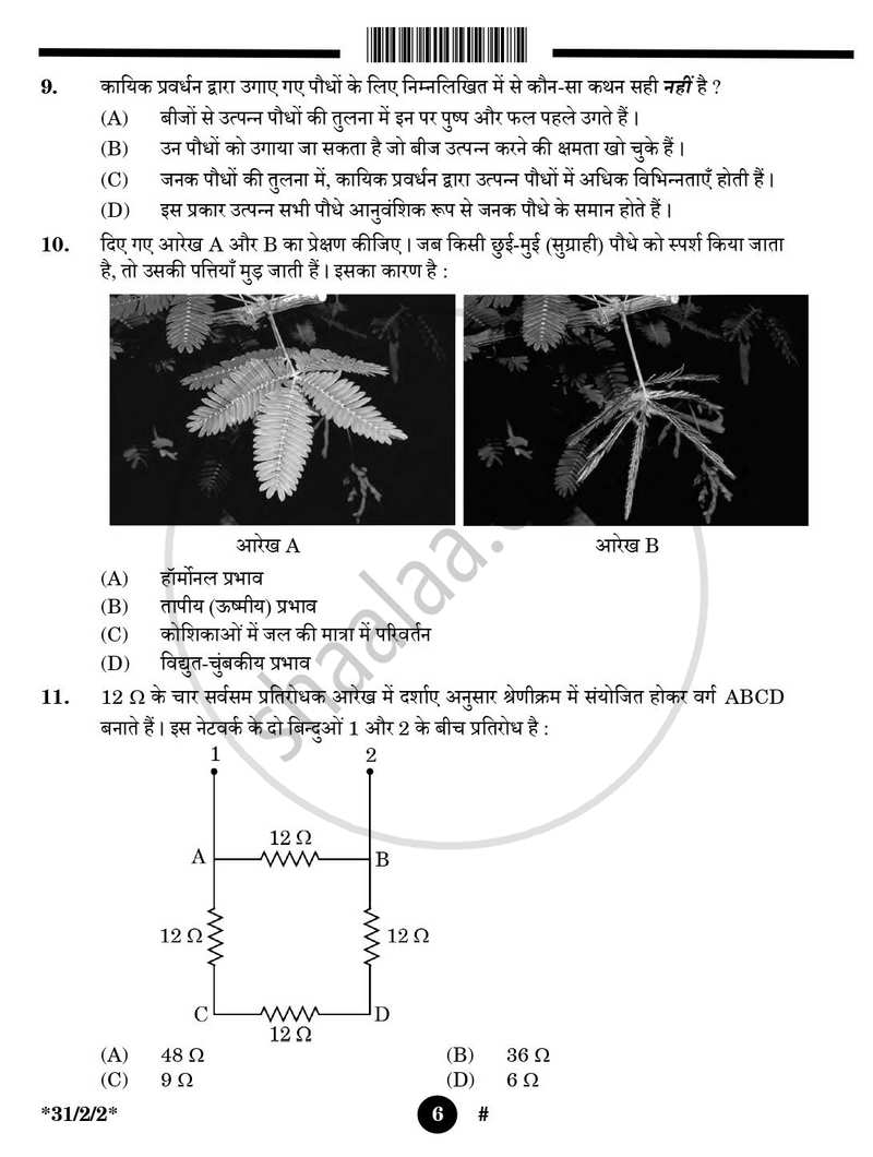 Science (विज्ञान) 2024-2025 Class 10 [कक्षा १०] - CBSE (Central Board of Secondary Education) question paper with PDF download