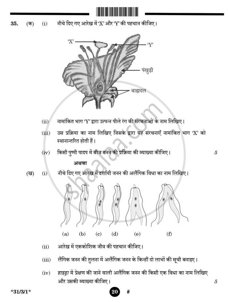 Science (विज्ञान) 2024-2025 Class 10 [कक्षा १०] - CBSE (Central Board of Secondary Education) question paper with PDF download