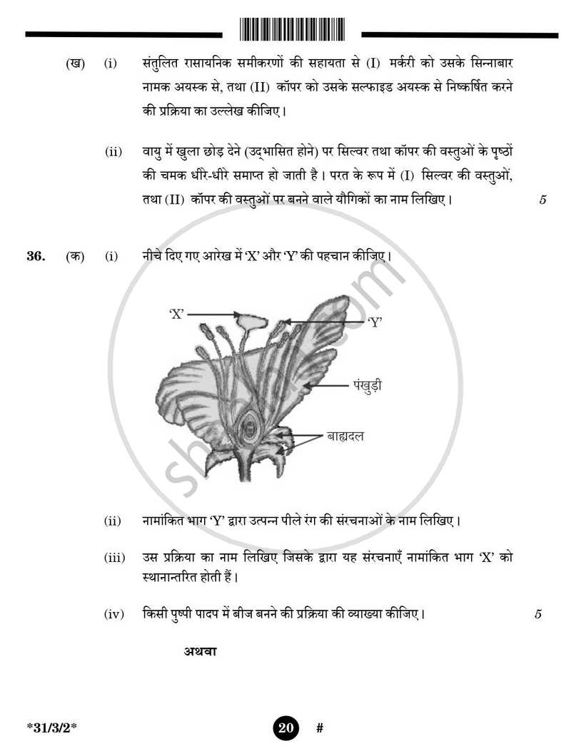 Science (विज्ञान) 2024-2025 Class 10 [कक्षा १०] - CBSE (Central Board of Secondary Education) question paper with PDF download