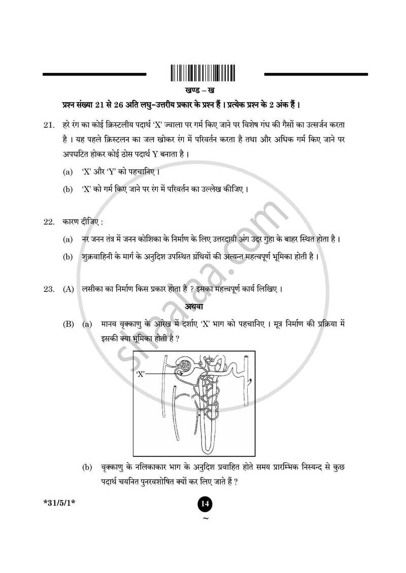 Science (विज्ञान) 2024-2025 Class 10 [कक्षा १०] - CBSE (Central Board of Secondary Education) question paper with PDF download