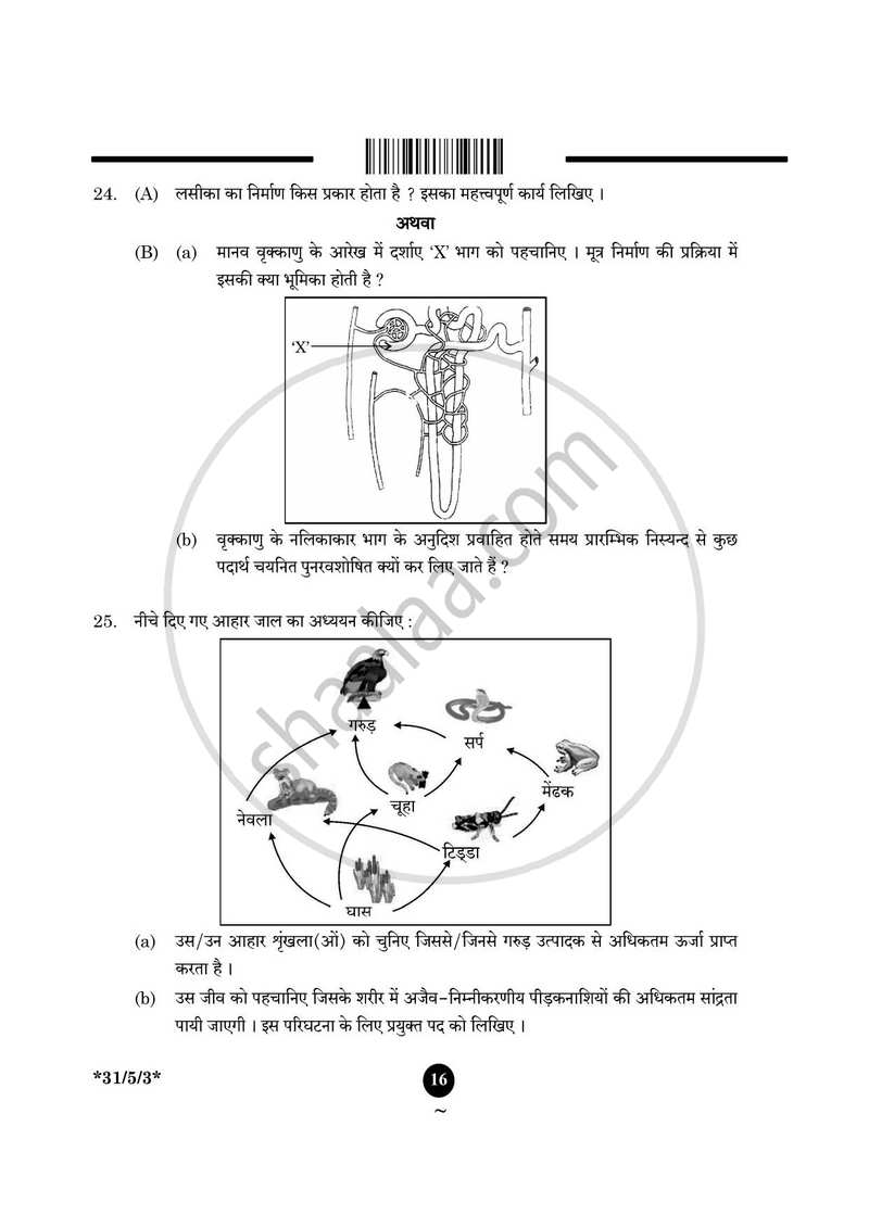 Science (विज्ञान) 2024-2025 Class 10 [कक्षा १०] - CBSE (Central Board of Secondary Education) question paper with PDF download