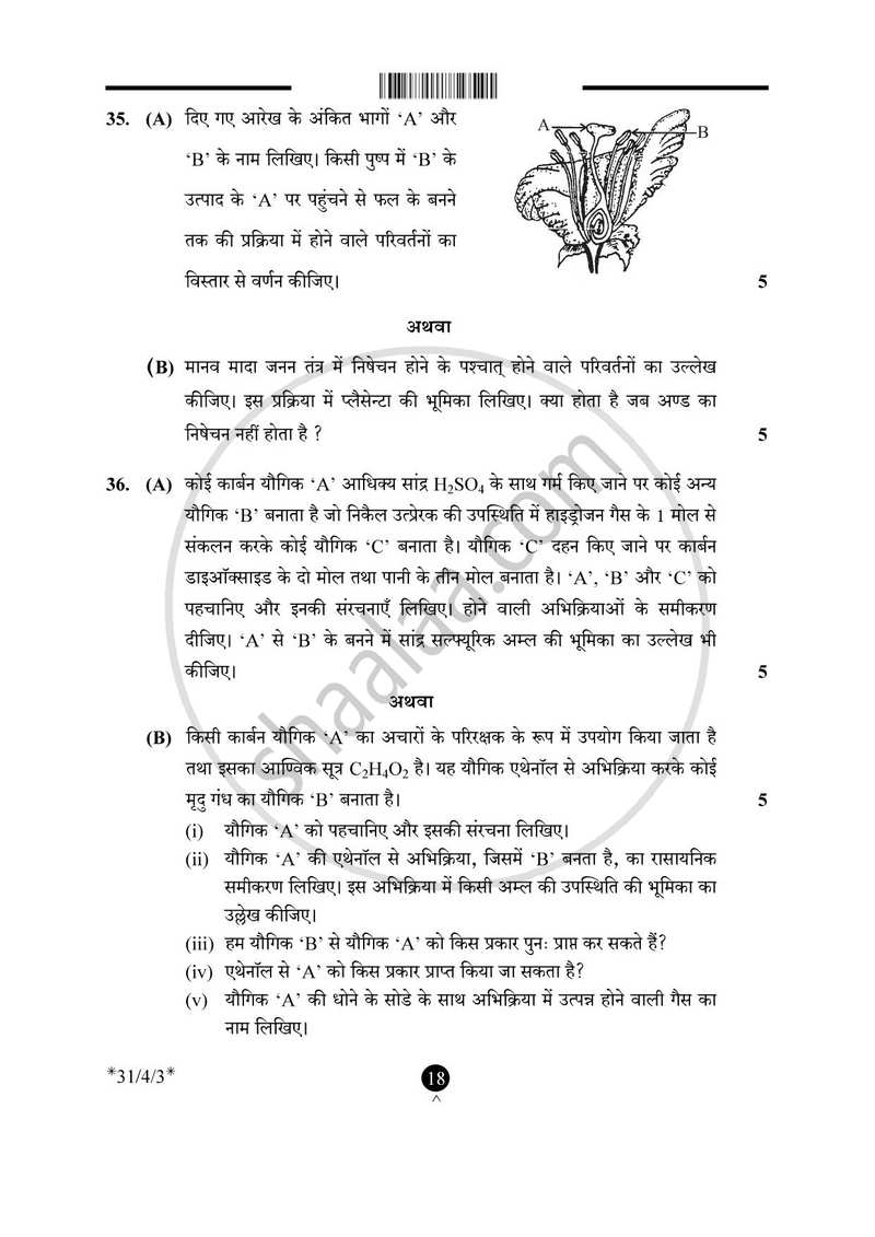 Science (विज्ञान) 2024-2025 Class 10 [कक्षा १०] - CBSE (Central Board of Secondary Education) question paper with PDF download