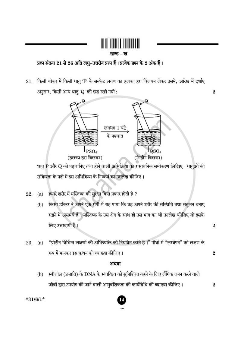 Science (विज्ञान) 2024-2025 Class 10 [कक्षा १०] - CBSE (Central Board of Secondary Education) question paper with PDF download