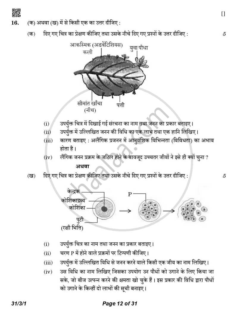 Science (विज्ञान) 2025-2026 Class 10 [कक्षा १०] - CBSE (Central Board of Secondary Education) question paper with PDF download