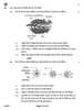 Science (विज्ञान) 2025-2026 Class 10 [कक्षा १०] - CBSE (Central Board of Secondary Education) question paper with PDF download