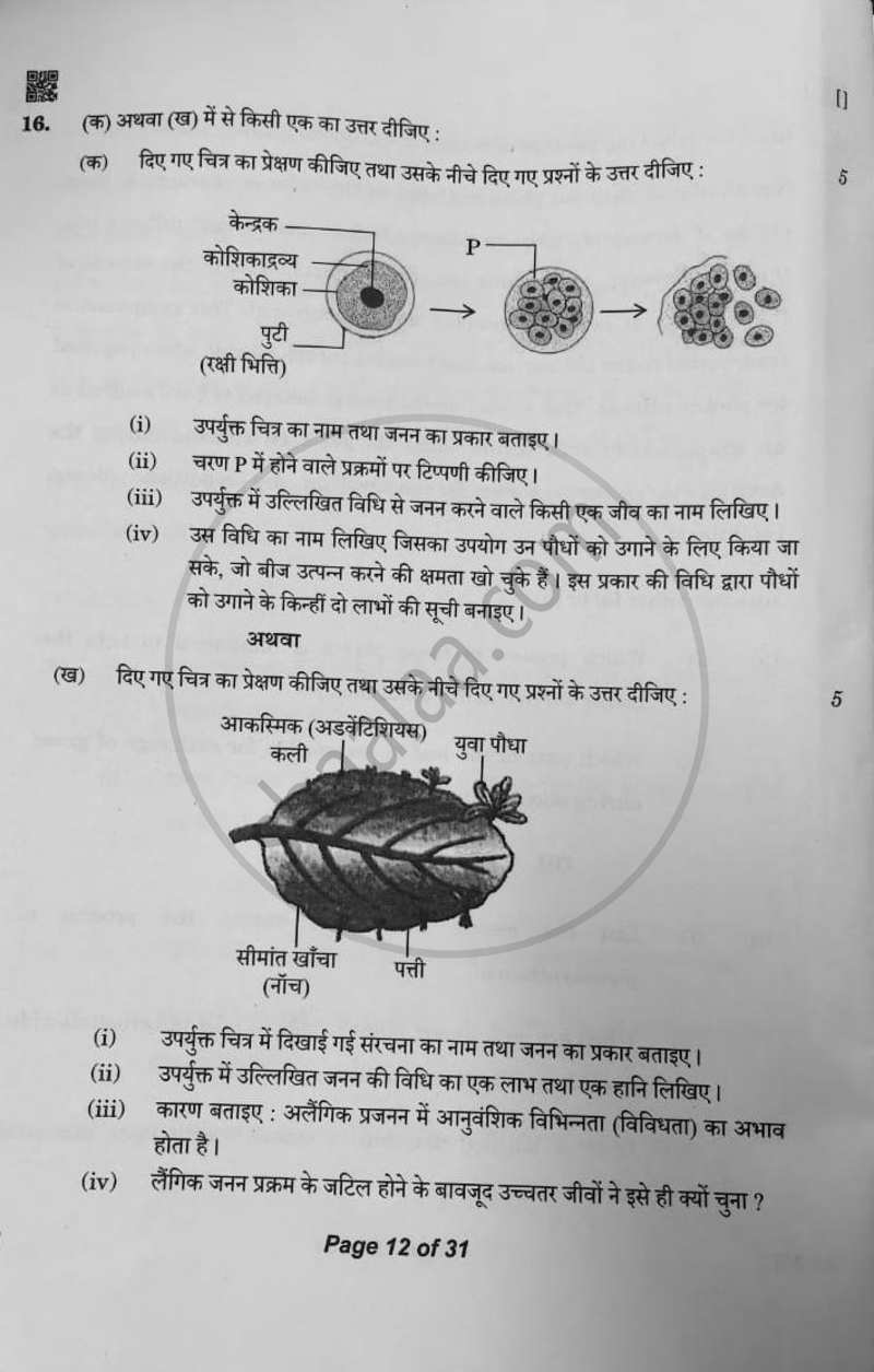 Science (विज्ञान) 2025-2026 Class 10 [कक्षा १०] - CBSE (Central Board of Secondary Education) question paper with PDF download
