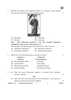 Social Science 2025-2026 Class 10 - CBSE (Central Board of Secondary Education) question paper with PDF download
