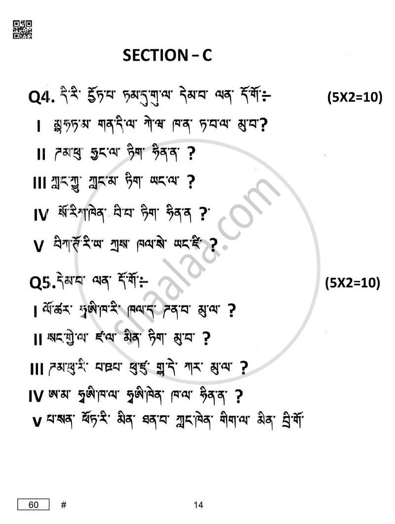Tamang 2024-2025 Class 10 - CBSE (Central Board of Secondary Education) question paper with PDF download