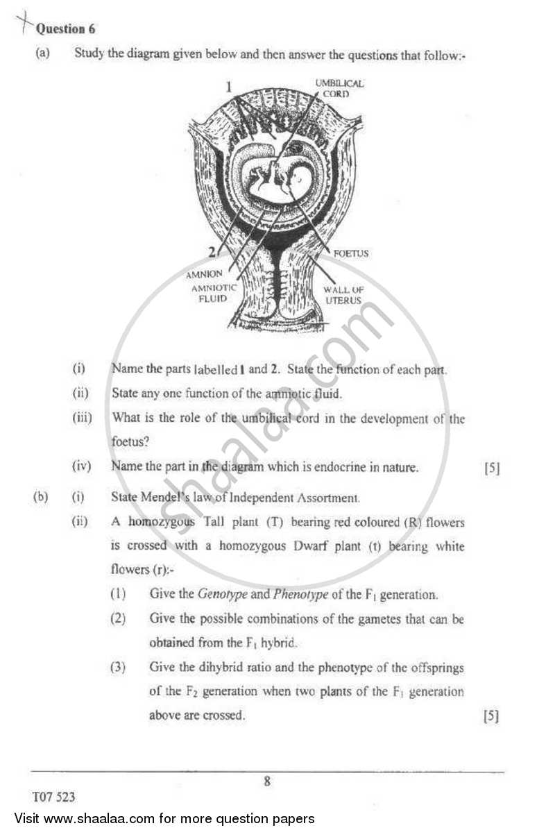 Biology 2006-2007 ICSE Class 10  - CISCE (Council for the Indian School Certificate Examinations) question paper with PDF download