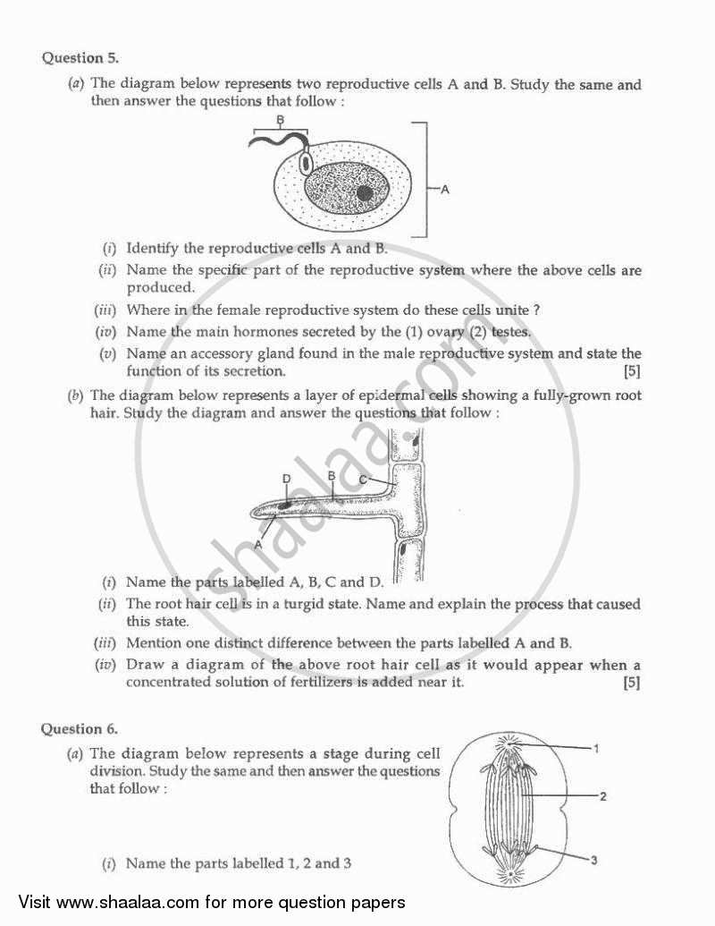 Biology 2010-2011 ICSE Class 10  - CISCE (Council for the Indian School Certificate Examinations) question paper with PDF download