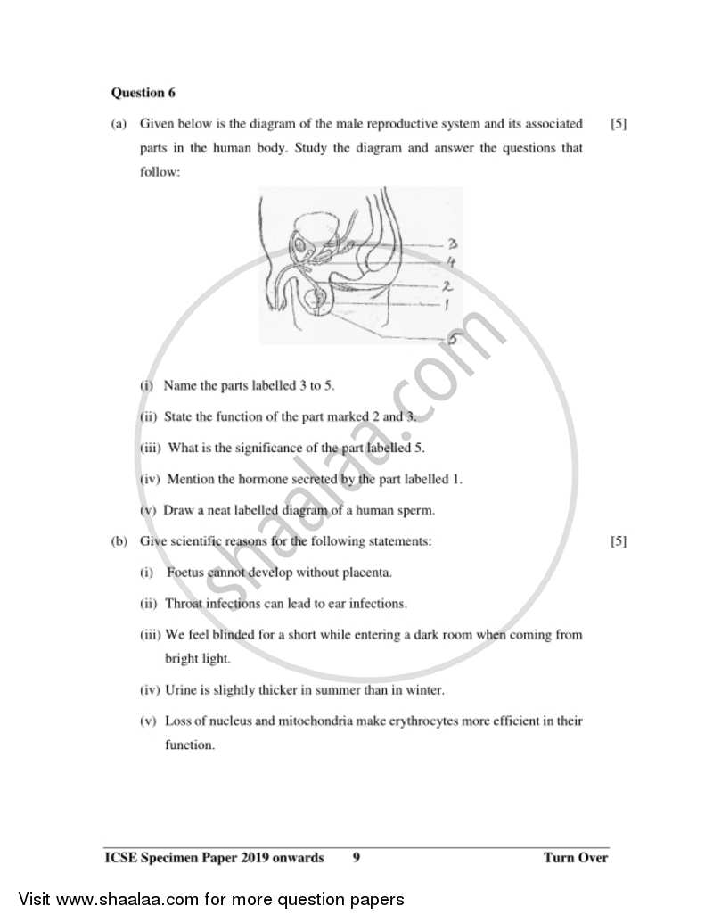 Biology 2018-2019 ICSE Class 10  - CISCE (Council for the Indian School Certificate Examinations) question paper with PDF download