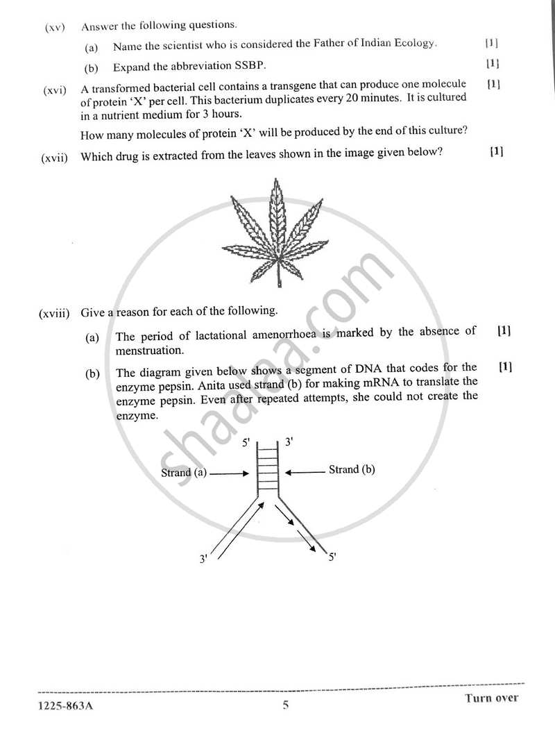 Biology (Theory) 2024-2025 - I.S.C. - ISC Class 12 - CISCE (Council for the Indian School Certificate Examinations) question paper with PDF download