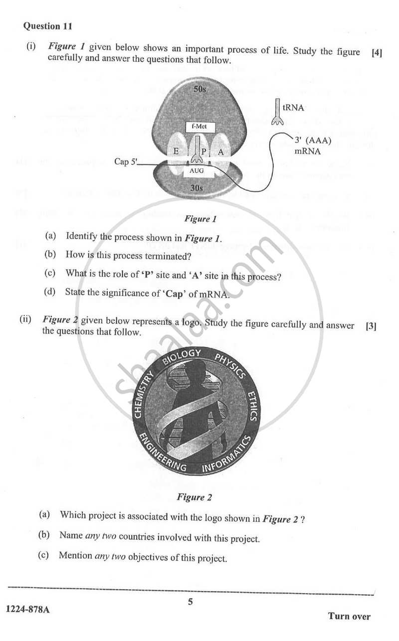 Biotechnology (Theory) 2023-2024 - I.S.C. - ISC Class 12 - CISCE (Council for the Indian School Certificate Examinations) question paper with PDF download
