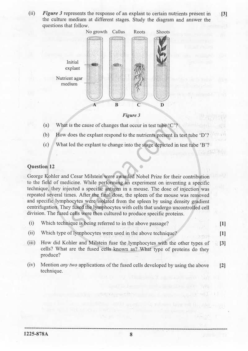 Biotechnology (Theory) 2024-2025 - I.S.C. - ISC Class 12 - CISCE (Council for the Indian School Certificate Examinations) question paper with PDF download
