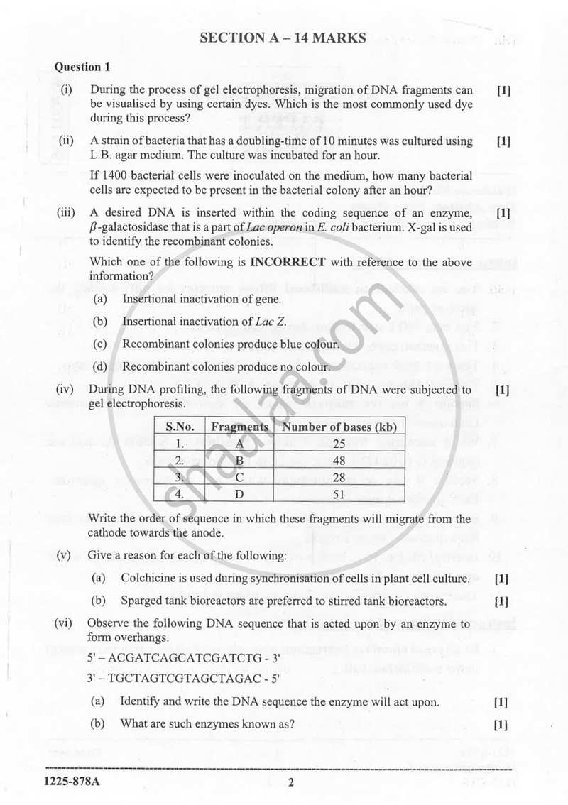 Biotechnology (Theory) 2024-2025 - I.S.C. - ISC Class 12 - CISCE (Council for the Indian School Certificate Examinations) question paper with PDF download
