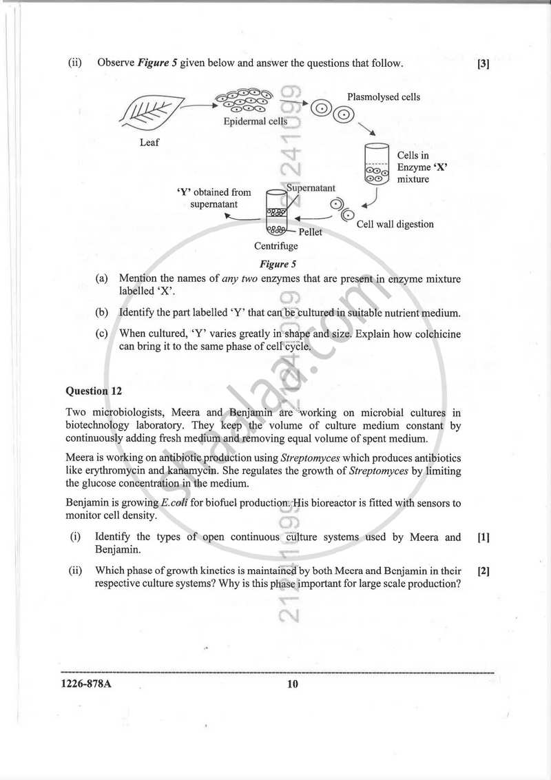 Biotechnology (Theory) 2025-2026 - I.S.C. - ISC Class 12 - CISCE (Council for the Indian School Certificate Examinations) question paper with PDF download