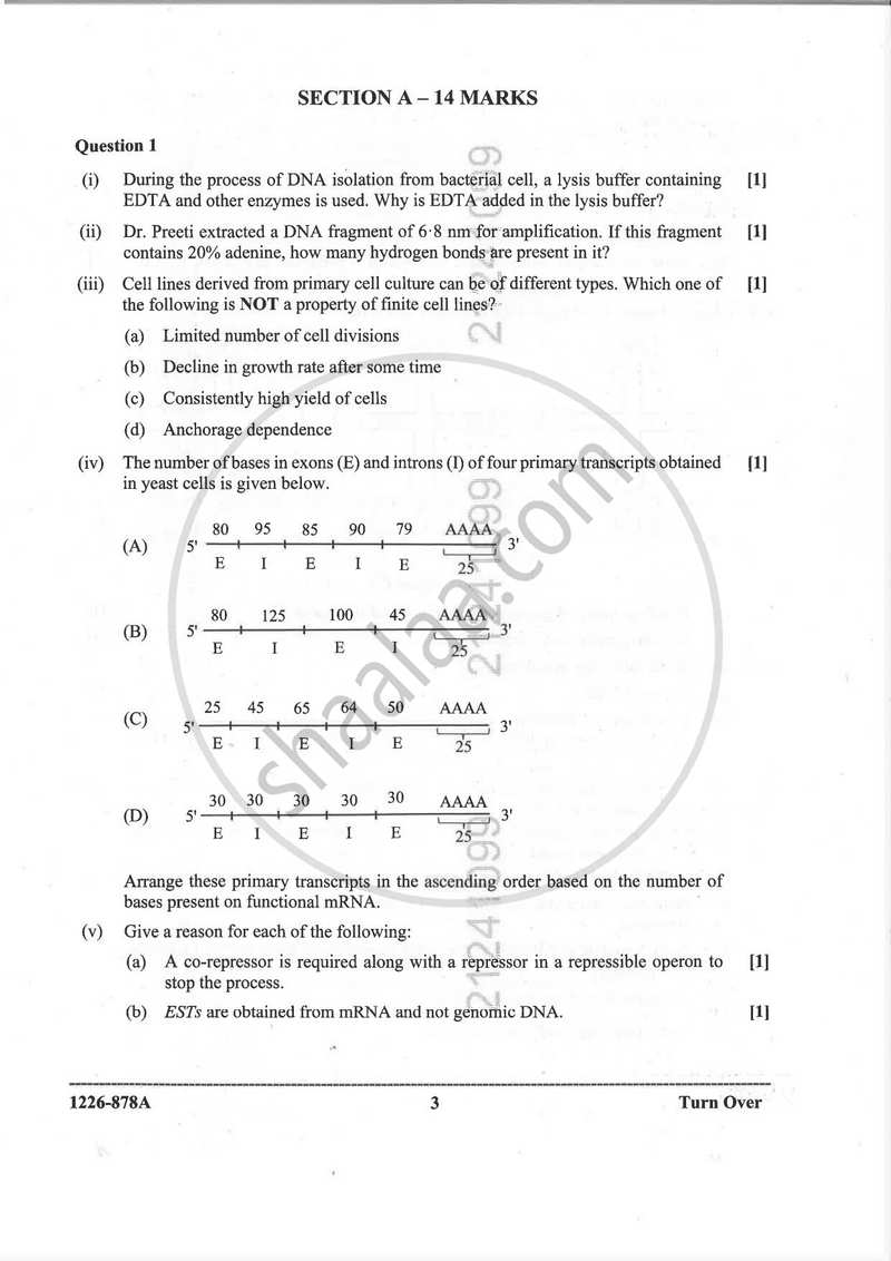 Biotechnology (Theory) 2025-2026 - I.S.C. - ISC Class 12 - CISCE (Council for the Indian School Certificate Examinations) question paper with PDF download