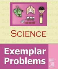 NCERT Exemplar solutions for Science [English] Class 7 chapter 6 - Physical and Chemical Changes - Shaalaa.com