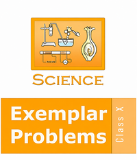 NCERT Exemplar solutions for सायन्स एक्सेम्पलार [इंग्रजी] इयत्ता १० chapter 11 - The Human Eye and the Colourful World - Shaalaa.com