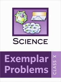 NCERT Exemplar solutions for सायन्स एक्सेम्पलार [इंग्रजी] इयत्ता ९ chapter 2 - Is Matter Around Us Pure - Shaalaa.com